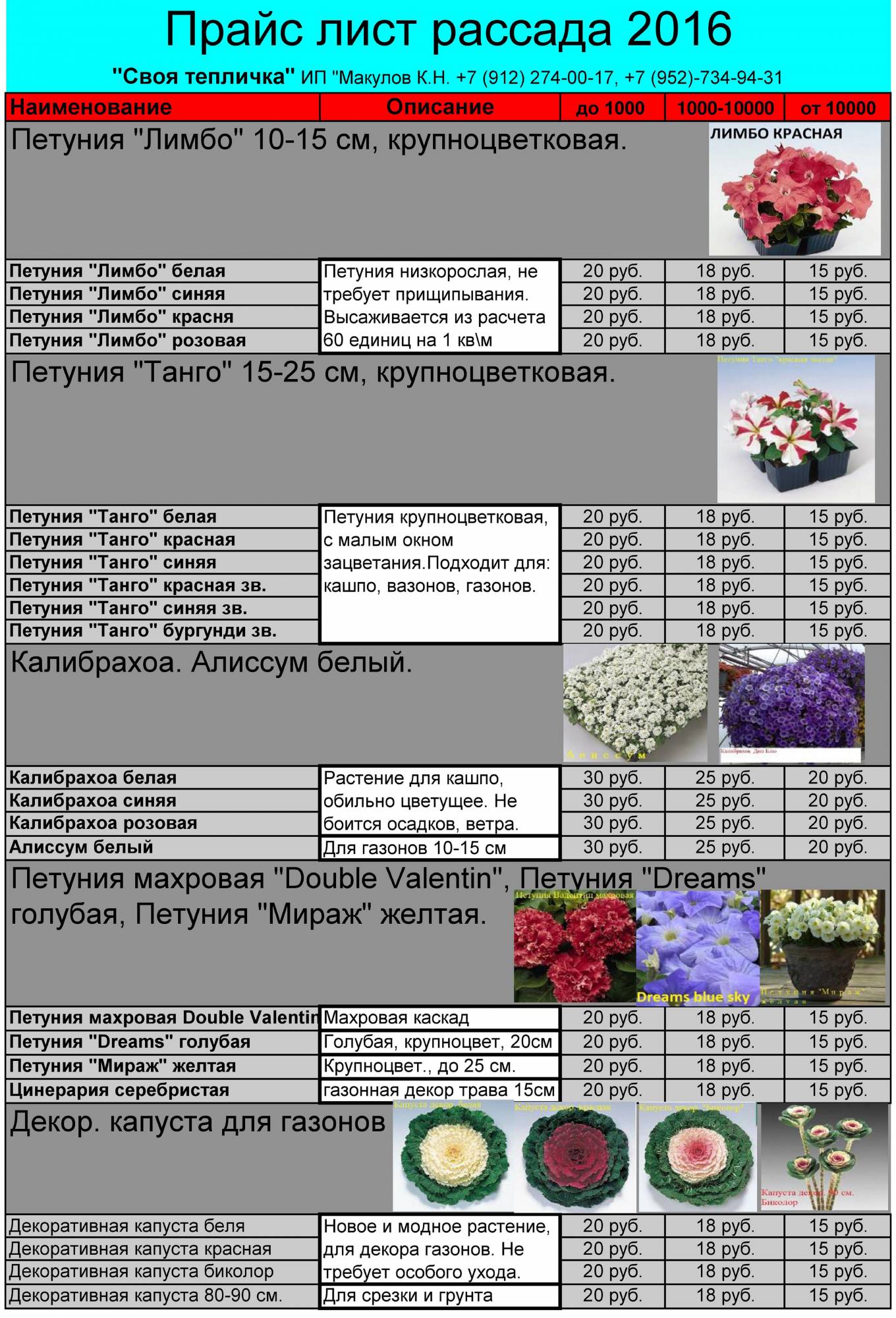 Прайс лист художника. Прайс лист рассады. Прайс-лист на цветочную рассаду. Прайс лист на рассаду цветов. Прайс рассады цветов.